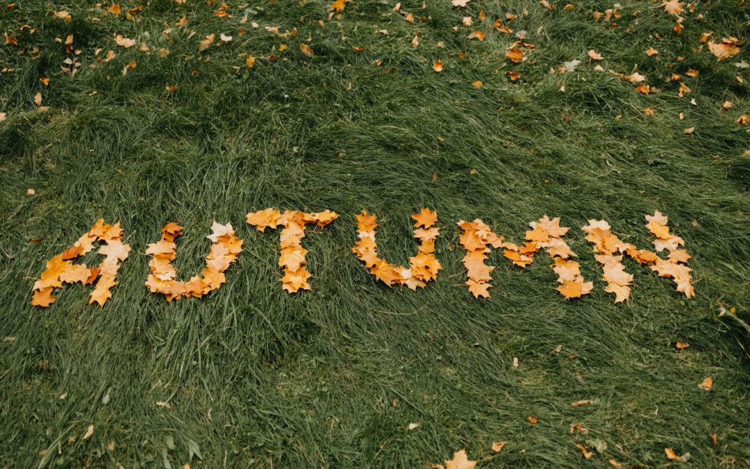 As Autumn Arrives, What Inspires You to Make Changes for Fall?