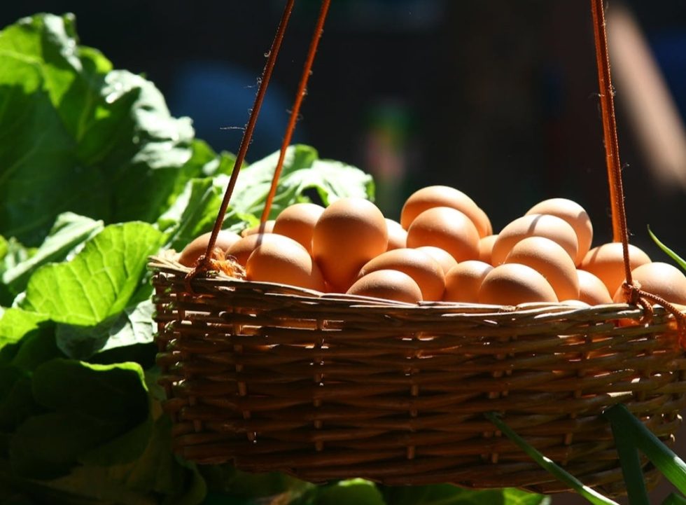 World Egg Day Sharing Recipes, Symbols and Cultural Celebrations Her